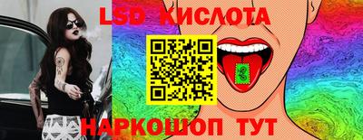 шишки Лесосибирск