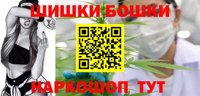 шишки Лесосибирск