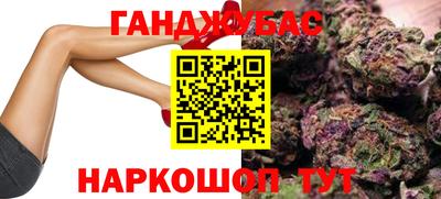 шишки Лесосибирск